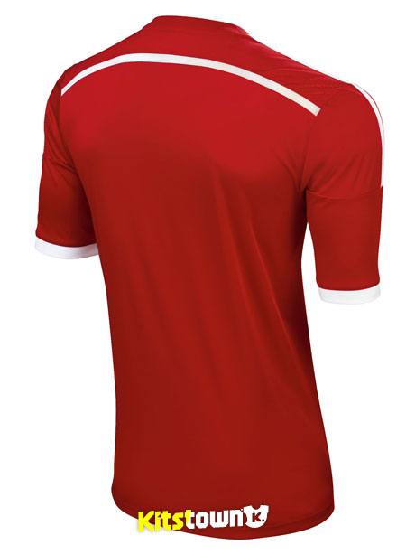 威尔士国家队2014赛季主场球衣 © kitstown.com 球衫堂