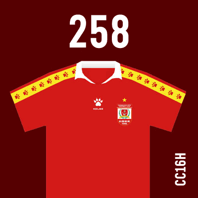 编号: CC16H; 内容: 长春亚泰俱乐部 2021 赛季主场球衣