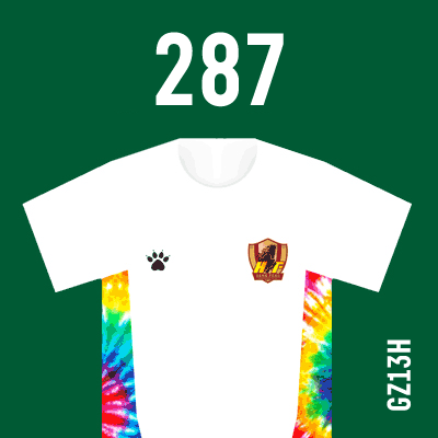 编号: GZ13H; 内容: 贵州恒丰俱乐部 2021 赛季主场球衣
