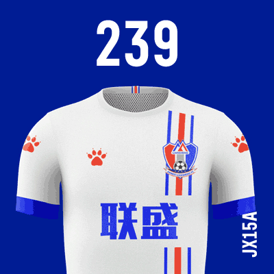 编号: JX15A; 内容: 江西联盛俱乐部 2021 赛季客场球衣