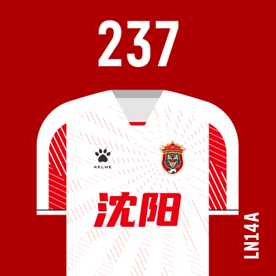 编号: LN14A; 内容: 辽宁沈阳城市俱乐部 2021 赛季客场球衣