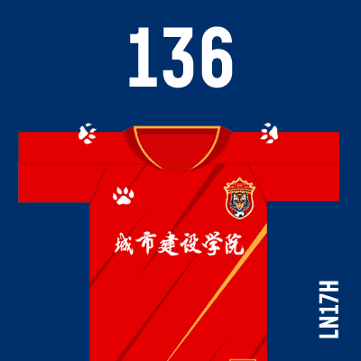 编号: LN17H; 内容: 辽宁沈阳城市俱乐部 2021 赛季主场球衣