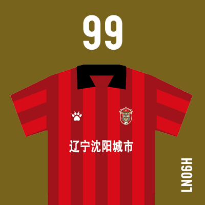 编号: LN06H; 内容: 辽宁沈阳城市俱乐部 2021 赛季主场球衣