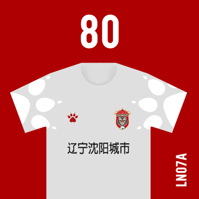 编号: LN07A; 内容: 辽宁沈阳城市俱乐部 2021 赛季客场球衣