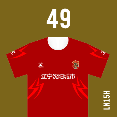 编号: LN15H; 内容: 辽宁沈阳城市俱乐部 2021 赛季主场球衣