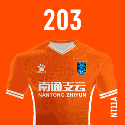 编号: NT11A; 内容: 南通支云俱乐部 2021 赛季客场球衣