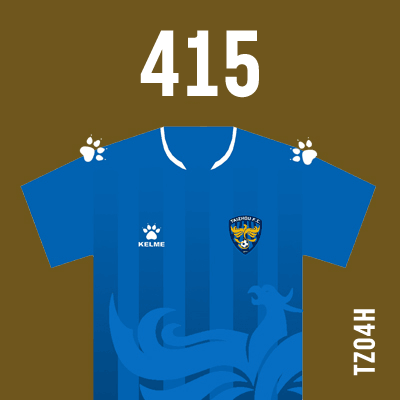 编号: TZ04H; 内容: 泰州远大俱乐部 2021 赛季主场球衣