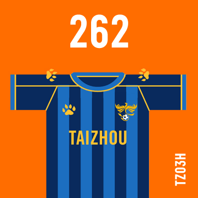 编号: TZ03H; 内容: 泰州远大俱乐部 2021 赛季主场球衣