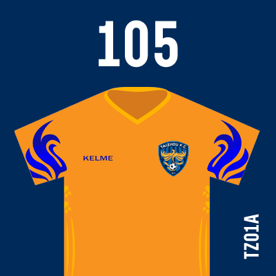 编号: TZ01A; 内容: 泰州远大俱乐部 2021 赛季客场球衣
