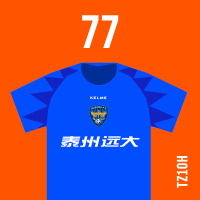 编号: TZ10H; 内容: 泰州远大俱乐部 2021 赛季主场球衣