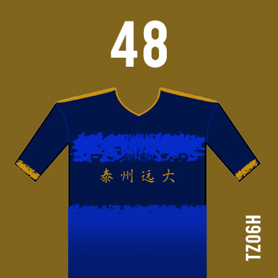编号: TZ06H; 内容: 泰州远大俱乐部 2021 赛季主场球衣