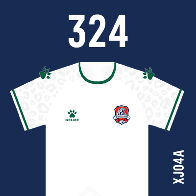 编号: XJ04A; 内容: 新疆天山雪豹俱乐部 2021 赛季客场球衣