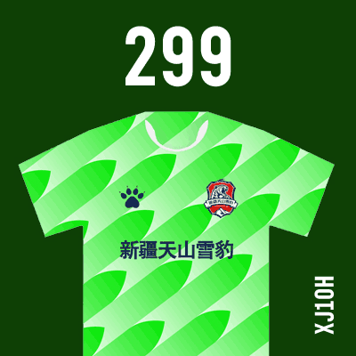 编号: XJ10H; 内容: 新疆天山雪豹俱乐部 2021 赛季主场球衣