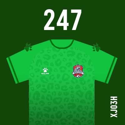 编号: XJ03H; 内容: 新疆天山雪豹俱乐部 2021 赛季主场球衣