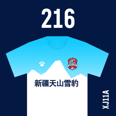 编号: XJ11A; 内容: 新疆天山雪豹俱乐部 2021 赛季客场球衣