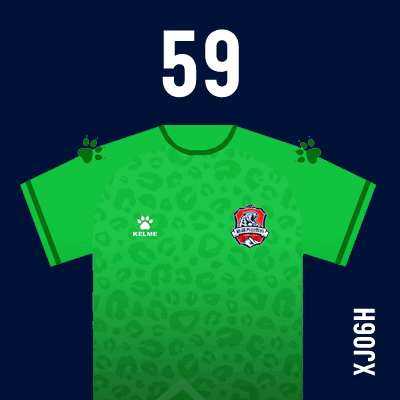 编号: XJ06H; 内容: 新疆天山雪豹俱乐部 2021 赛季主场球衣