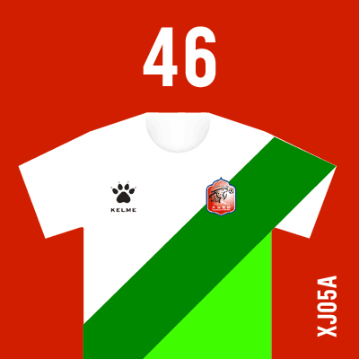 编号: XJ05A; 内容: 新疆天山雪豹俱乐部 2021 赛季客场球衣