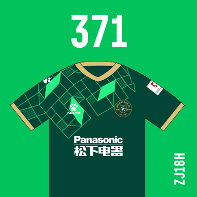 编号: ZJ18H; 内容: 浙江能源绿城俱乐部 2021 赛季主场球衣