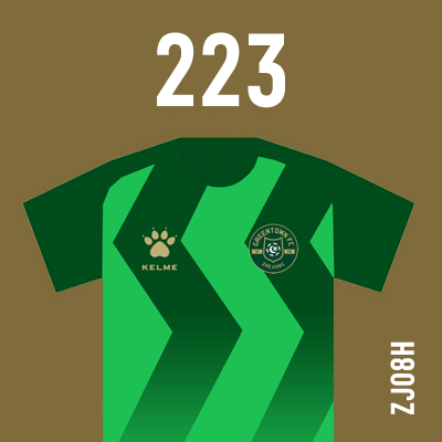 编号: ZJ08H; 内容: 浙江能源绿城俱乐部 2021 赛季主场球衣