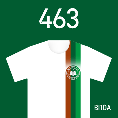 编号: BI10A; 内容: 北京理工俱乐部 2022 赛季客场球衣