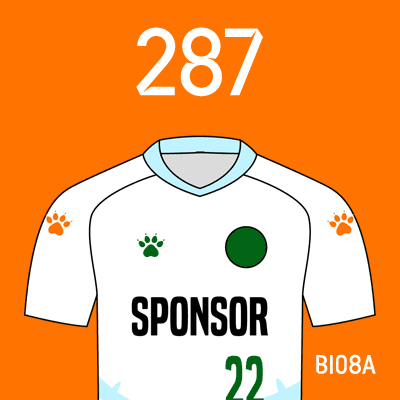 编号: BI08A; 内容: 北京理工俱乐部 2022 赛季客场球衣
