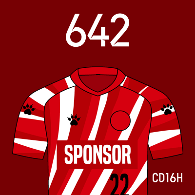 编号: CD16H; 内容: 成都蓉城俱乐部 2022 赛季主场球衣