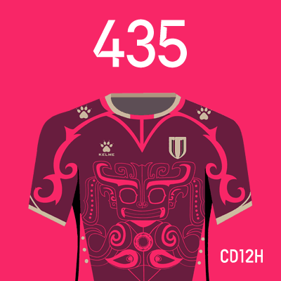 编号: CD12H; 内容: 成都蓉城俱乐部 2022 赛季主场球衣