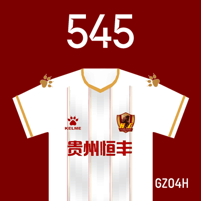 编号: GZ04H; 内容: 贵州俱乐部 2022 赛季主场球衣
