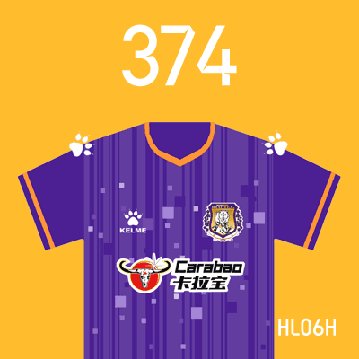 编号: HL06H; 内容: 黑龙江冰城俱乐部 2022 赛季主场球衣