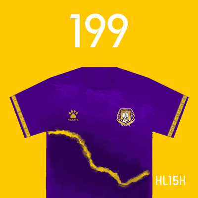 编号: HL15H; 内容: 黑龙江冰城俱乐部 2022 赛季主场球衣
