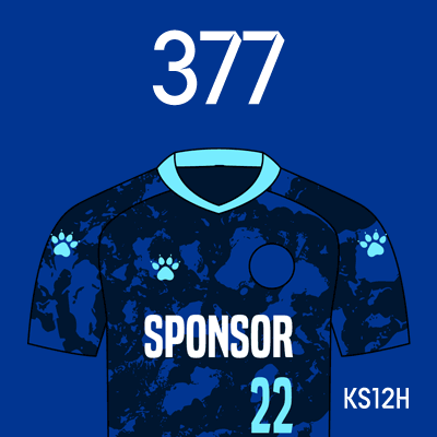 编号: KS12H; 内容: 昆山俱乐部 2022 赛季主场球衣