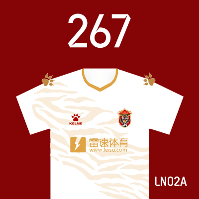 编号: LN02A; 内容: 辽宁沈阳城市俱乐部 2022 赛季客场球衣