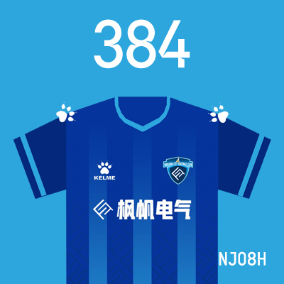 编号: NJ08H; 内容: 南京城市俱乐部 2022 赛季主场球衣