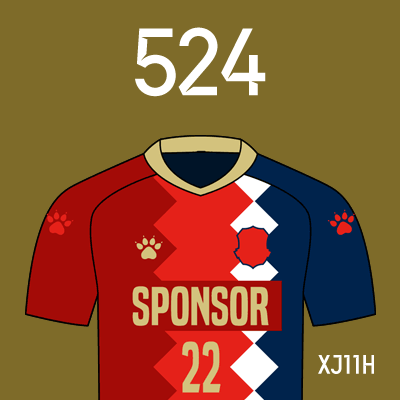 编号: XJ11H; 内容: 新疆天山雪豹俱乐部 2022 赛季主场球衣