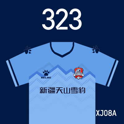 编号: XJ08A; 内容: 新疆天山雪豹俱乐部 2022 赛季客场球衣