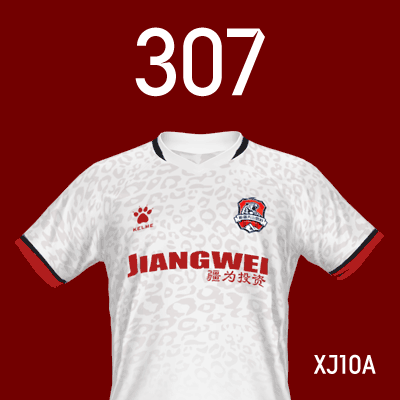 编号: XJ10A; 内容: 新疆天山雪豹俱乐部 2022 赛季客场球衣