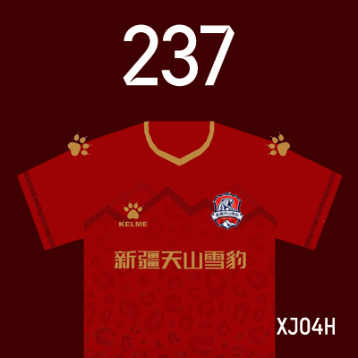 编号: XJ04H; 内容: 新疆天山雪豹俱乐部 2022 赛季主场球衣