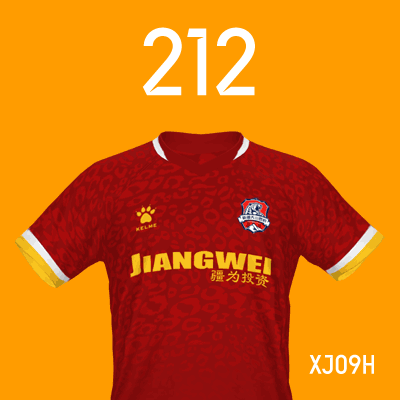 编号: XJ09H; 内容: 新疆天山雪豹俱乐部 2022 赛季主场球衣