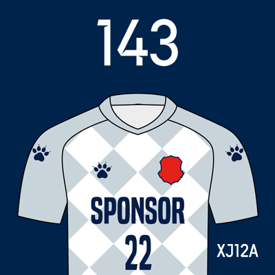 编号: XJ12A; 内容: 新疆天山雪豹俱乐部 2022 赛季客场球衣