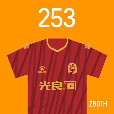编号: ZB01H; 内容: 淄博蹴鞠俱乐部 2022 赛季主场球衣