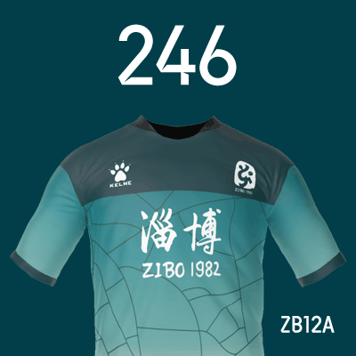 编号: ZB12A; 内容: 淄博蹴鞠俱乐部 2022 赛季客场球衣