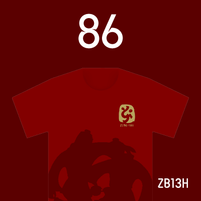 编号: ZB13H; 内容: 淄博蹴鞠俱乐部 2022 赛季主场球衣
