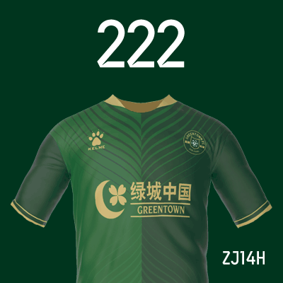 编号: ZJ14H; 内容: 浙江俱乐部 2022 赛季主场球衣